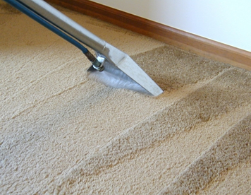 Higienização de carpetes